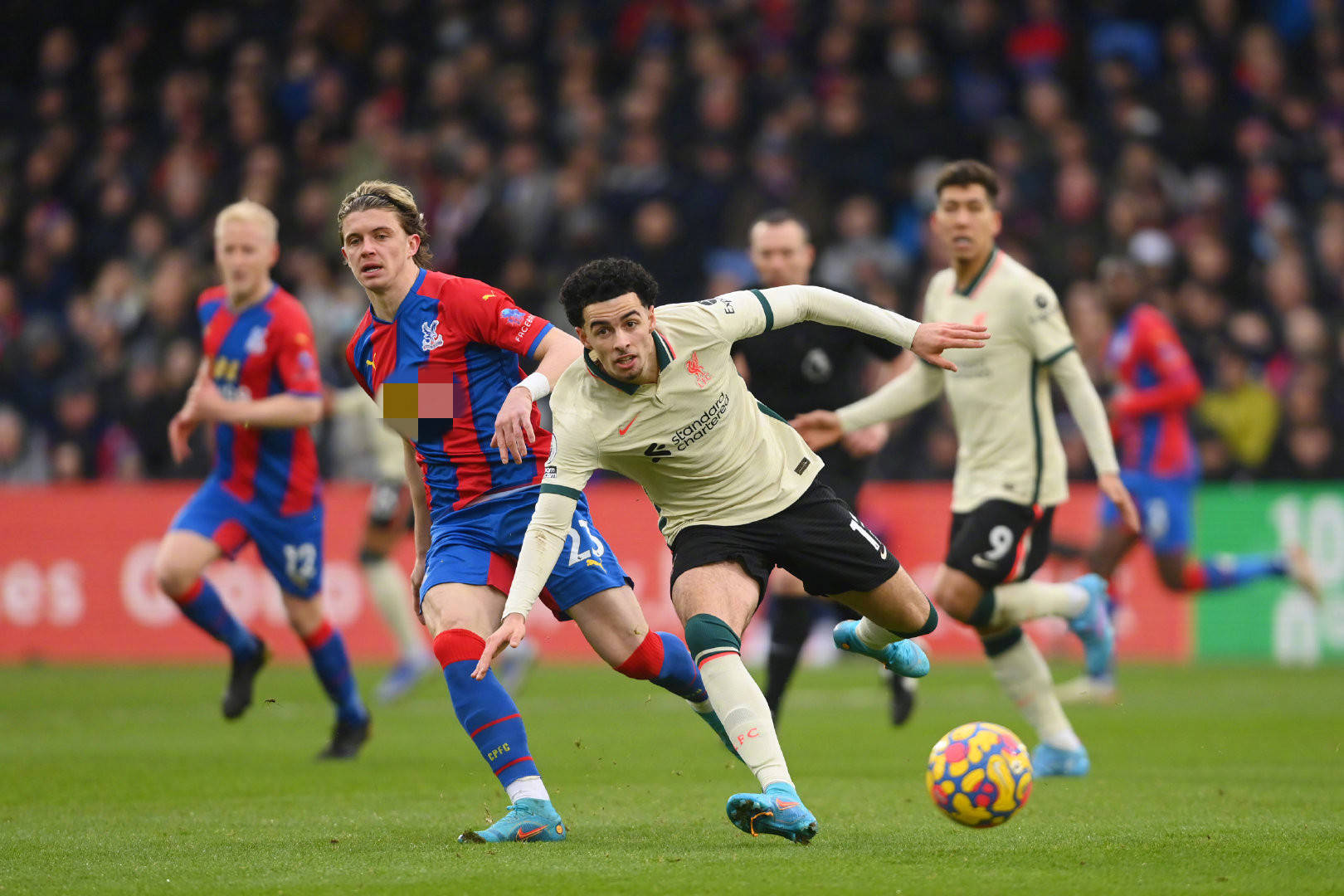 对霍伊伦来 对霍伊伦来